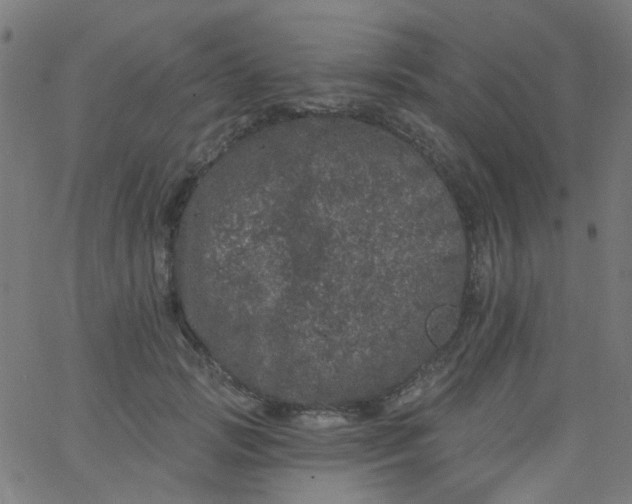 X0000067900749200604271852