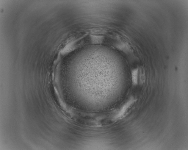 X0000067900750200604271852