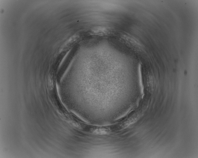 X0000067900751200604271852