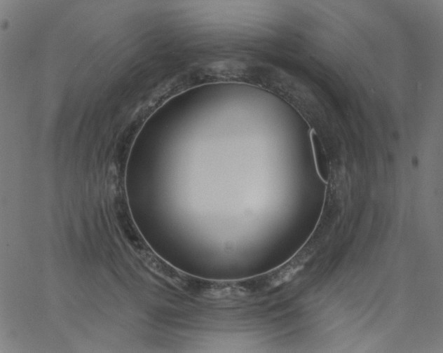 X0000067900752200604271852