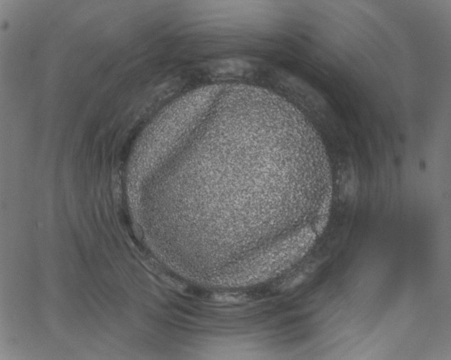 X0000067900753200604271852