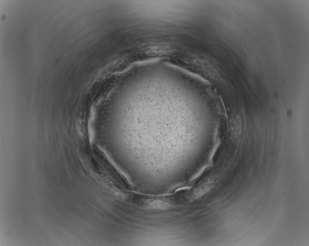 X0000067900755200604271852