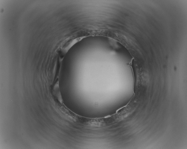 X0000067900756200604271852