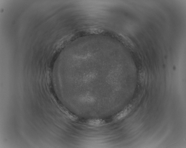 X0000067900757200604271852