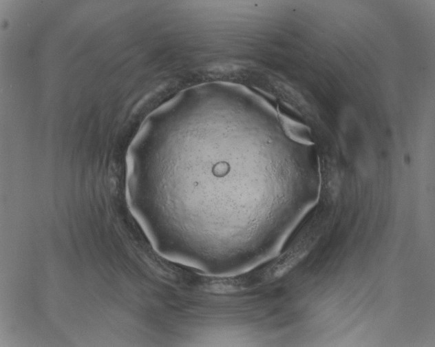 X0000067900758200604271852