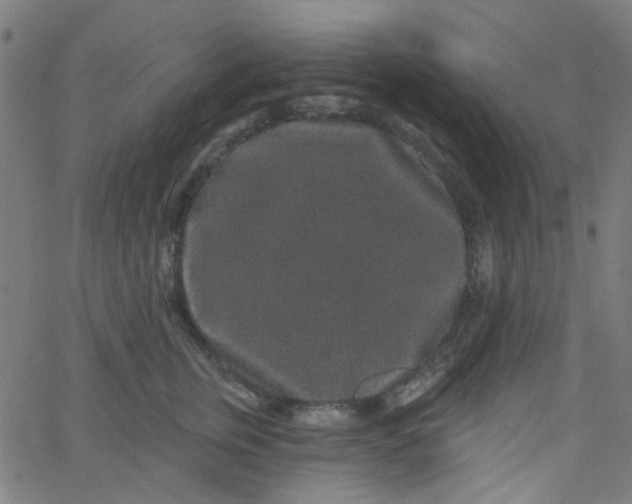 X0000067900759200604271852