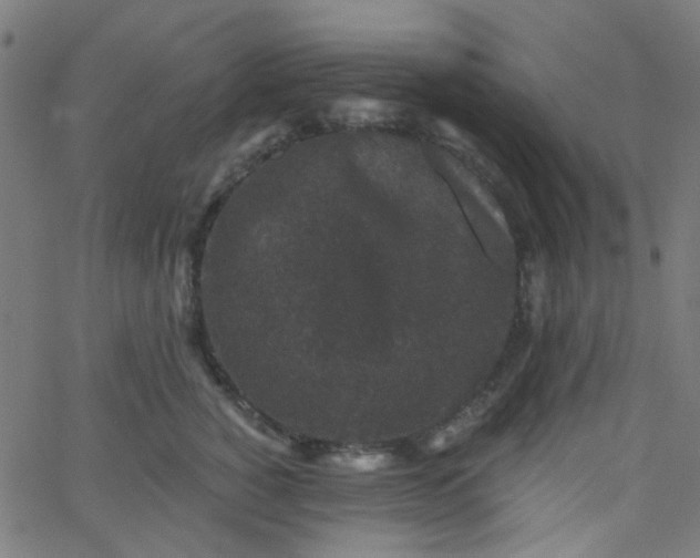 X0000067900760200604271852