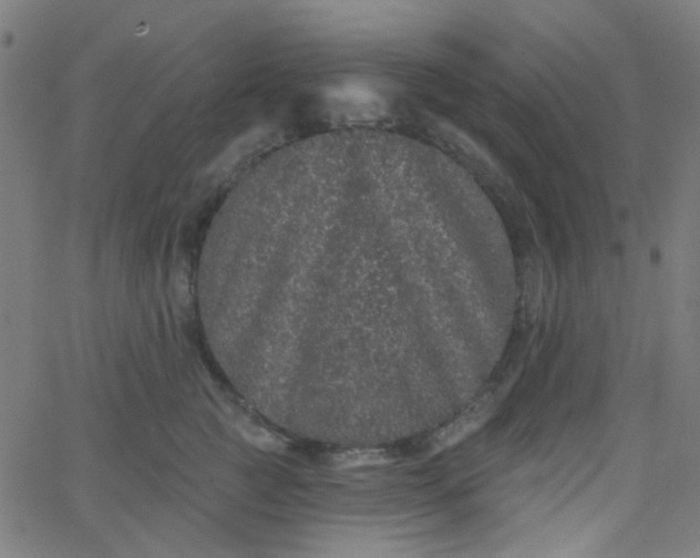 X0000067900761200604271852