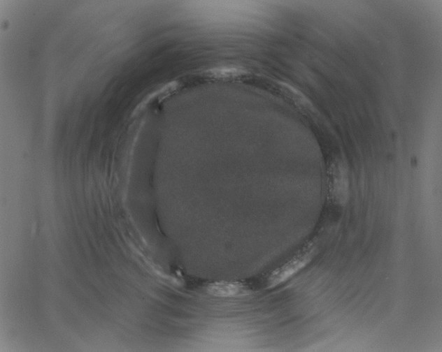 X0000067900762200604271852