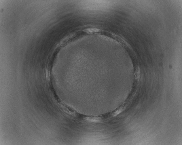 X0000067900763200604271852