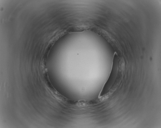 X0000067900764200604271852