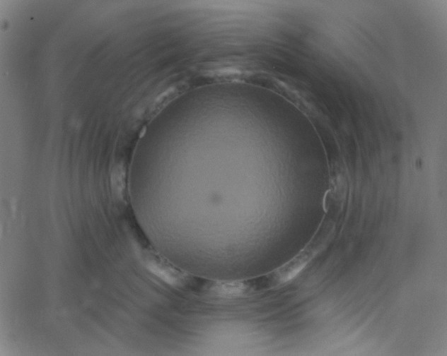 X0000067900767200604271852