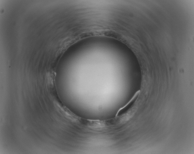 X0000067900768200604271852