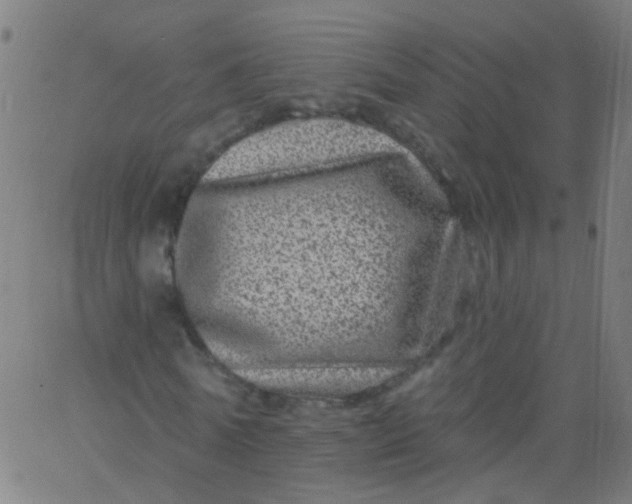 X0000067900770200604271852