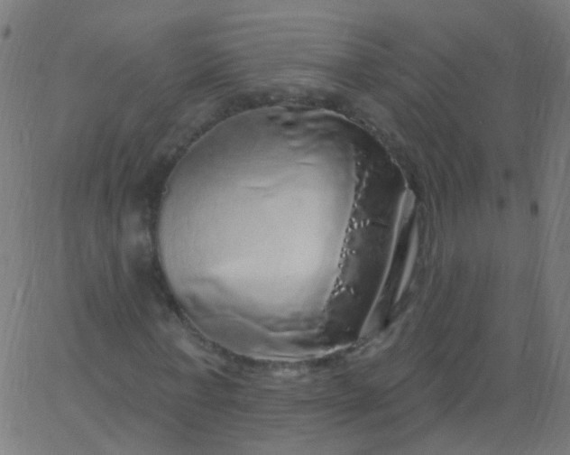 X0000067900771200604271851