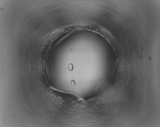 X0000067900773200604271851