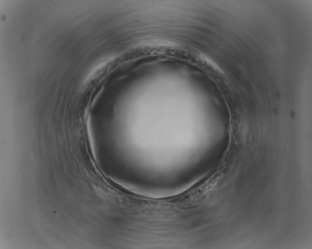 X0000067900775200604271851