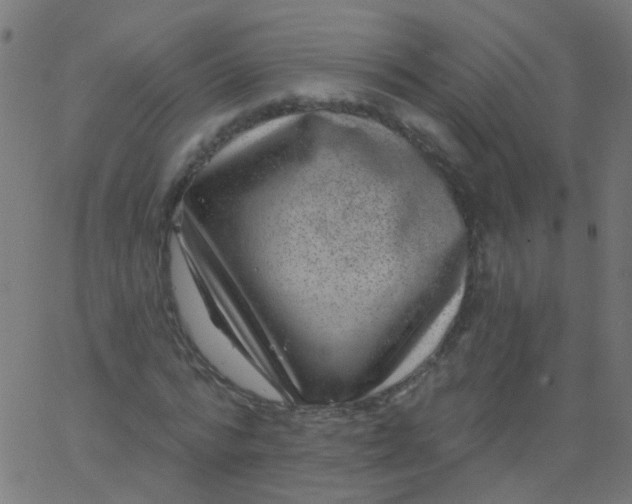 X0000067900776200604271851