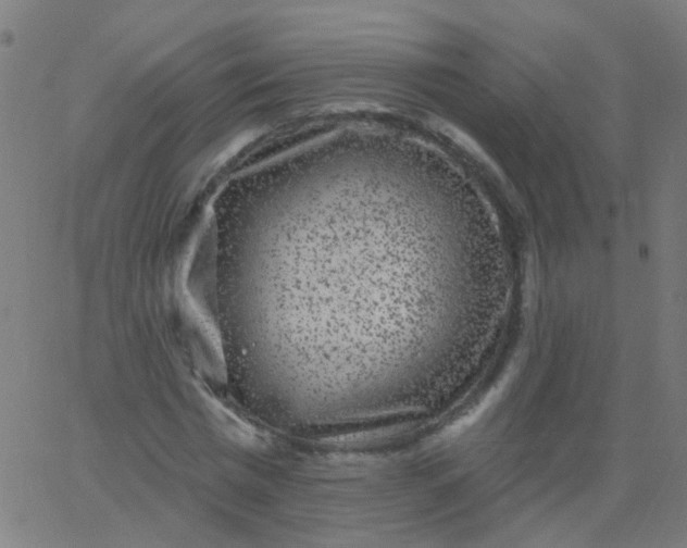 X0000067900777200604271851