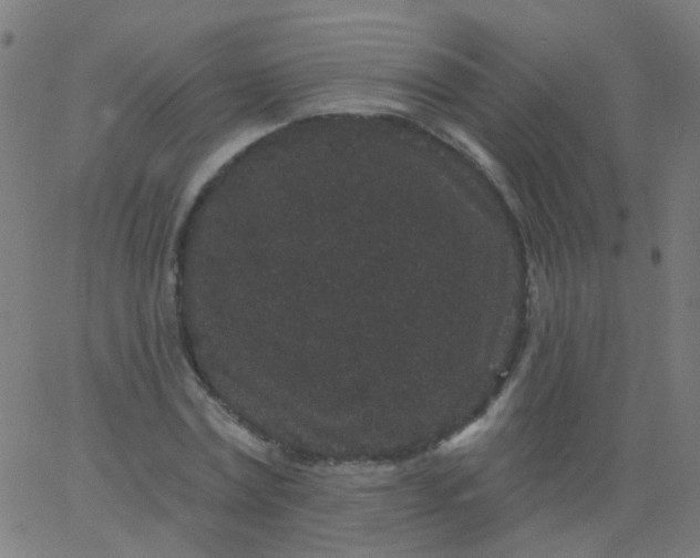 X0000067900779200604271851