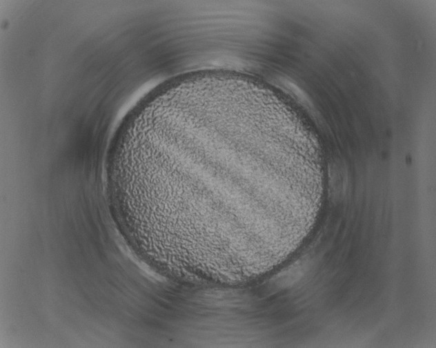 X0000067900780200604271851