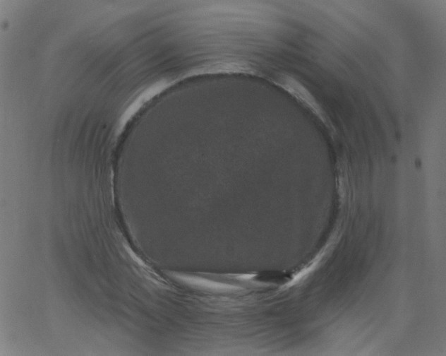 X0000067900781200604271851