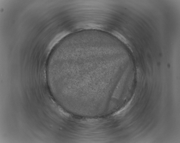 X0000067900782200604271851