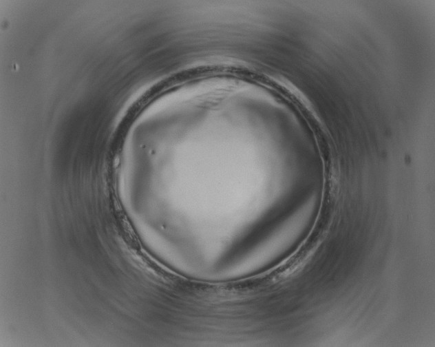 X0000067900783200604271851