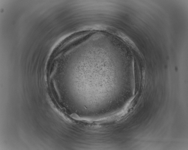 X0000067900784200604271851