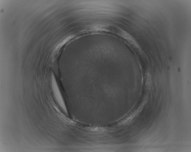 X0000067900785200604271851