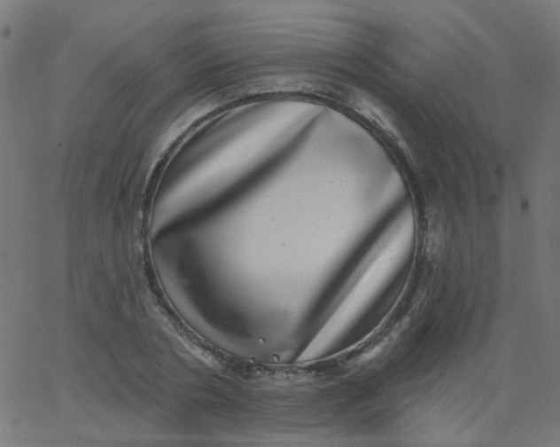 X0000067900786200604271851