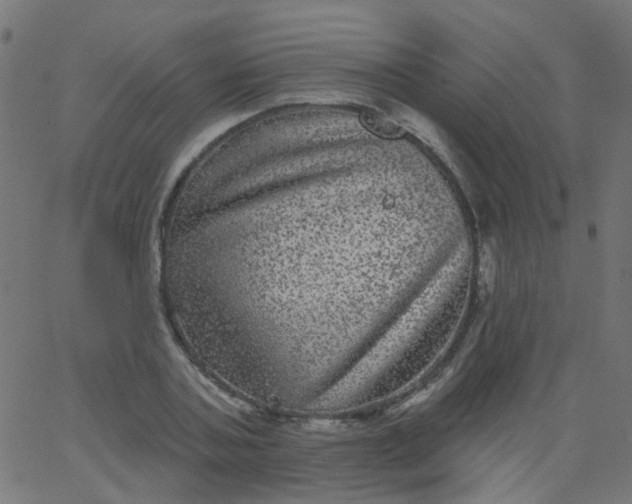 X0000067900787200604271851