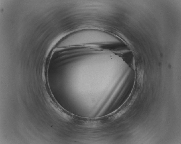 X0000067900788200604271851