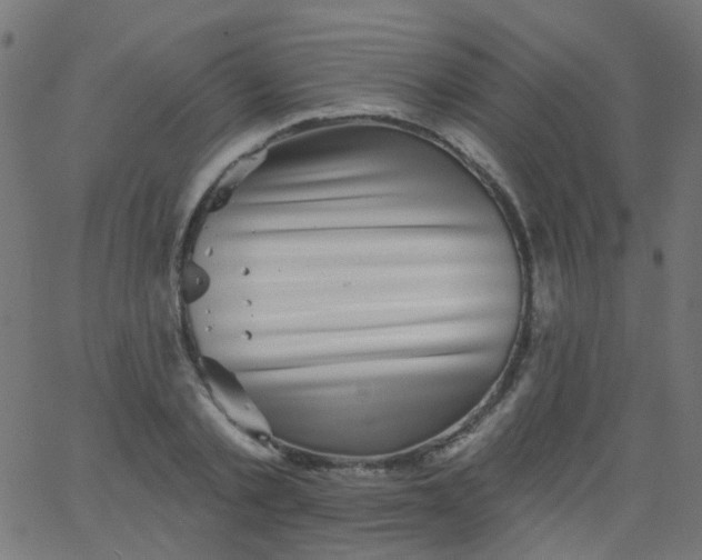 X0000067900789200604271851