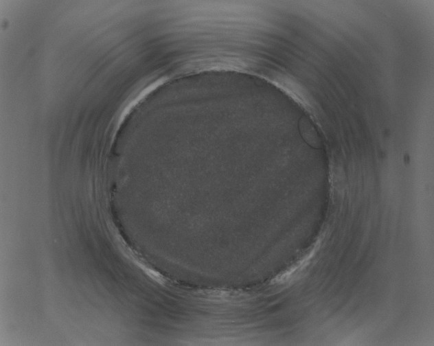 X0000067900790200604271851