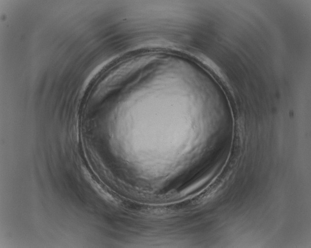 X0000067900791200604271851