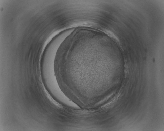 X0000067900792200604271851