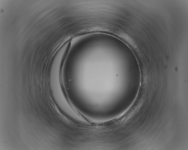 X0000067900793200604271851