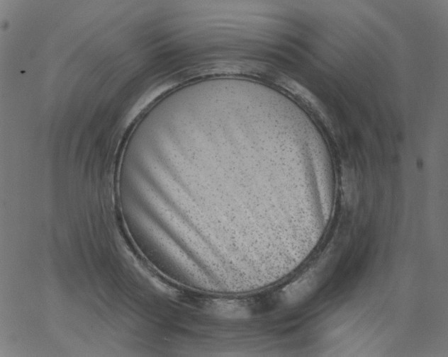 X0000067900794200604271851