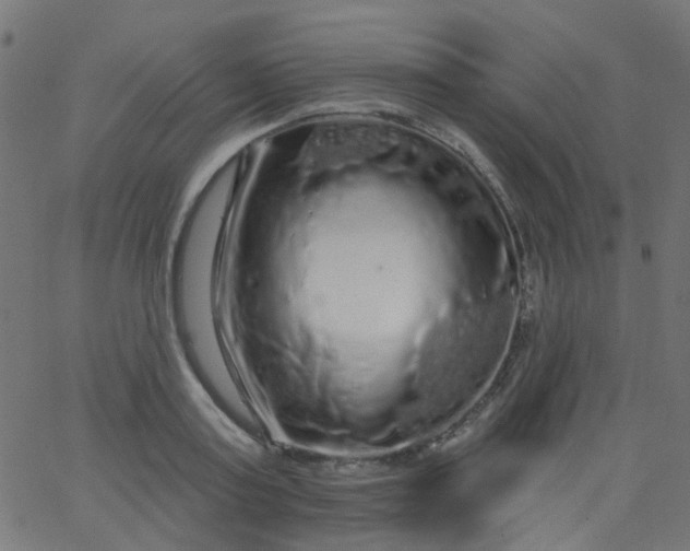 X0000067900795200604271851