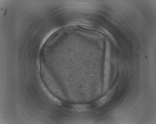 X0000067900796200604271851