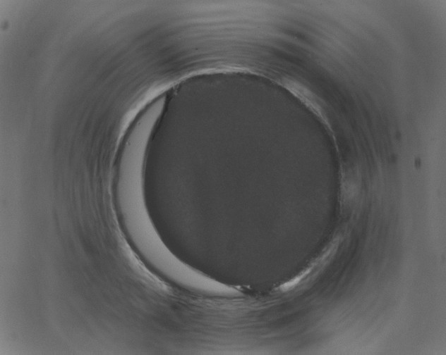 X0000067900797200604271851