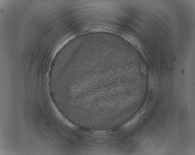 X0000067900798200604271851