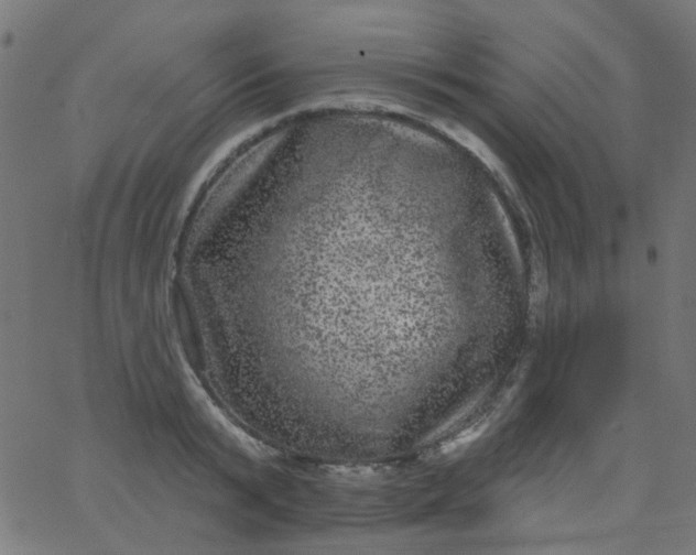 X0000067900799200604271851