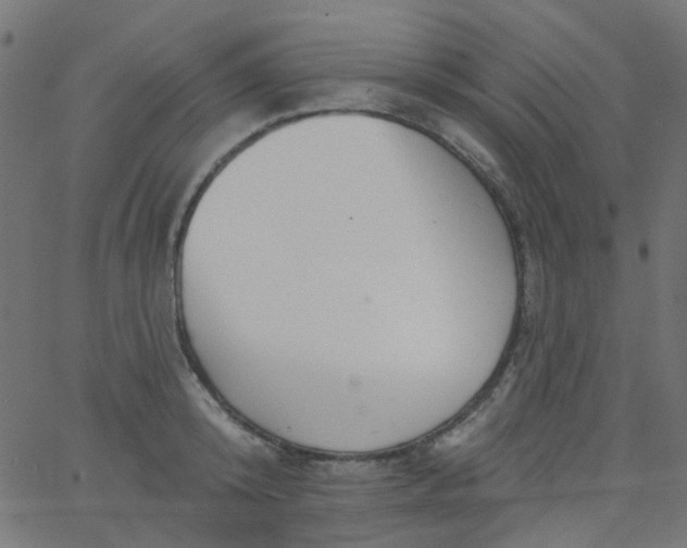 X0000067900800200604271851