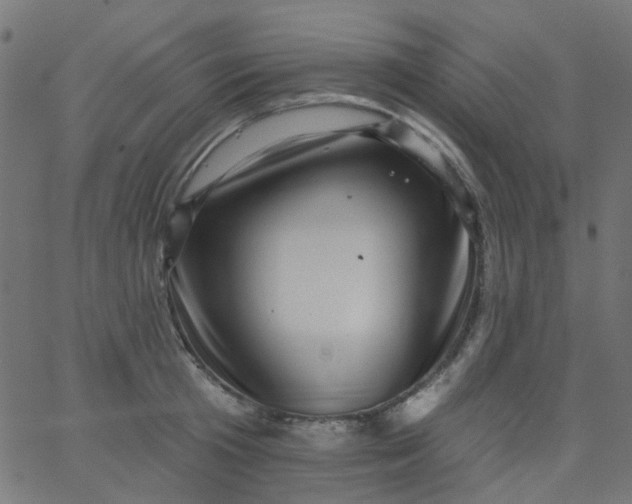 X0000067900801200604271851