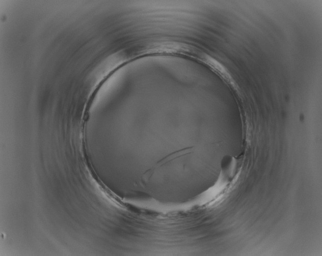 X0000067900802200604271851