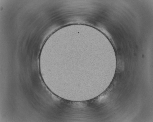 X0000067900807200604271851