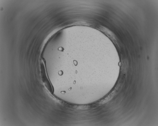 X0000067900808200604271851