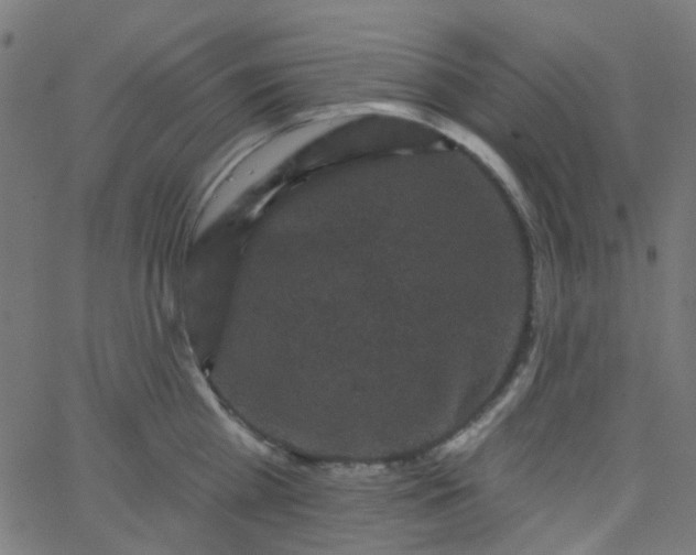 X0000067900809200604271851